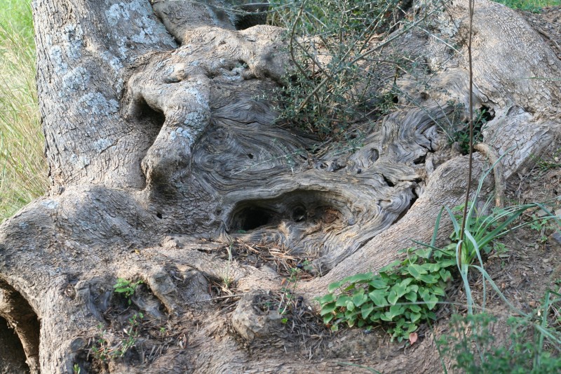 078 Er steht ziemlich am Abhang und ist schwer auszuplanen..